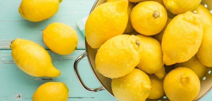 Faire le régime citron pour retrouver un ventre plat